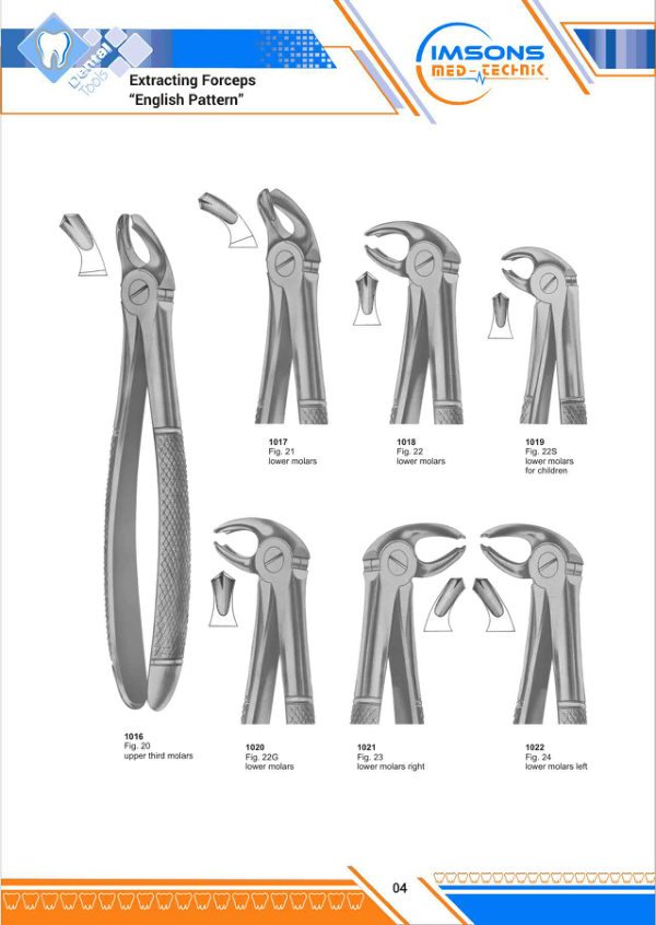 Tooth Extracting Forceps — Extracting Forceps English Pattern, catalogue page 4