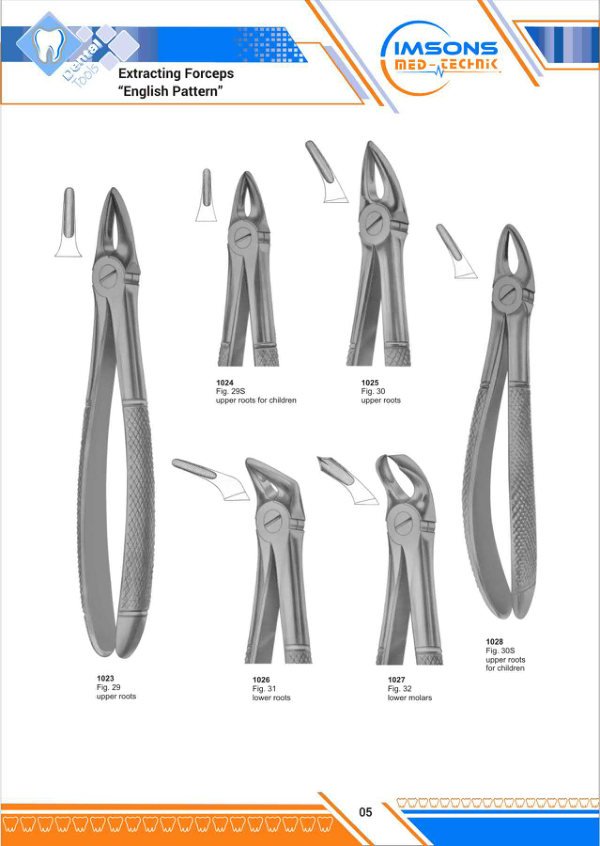 Tooth Extracting Forceps — Extracting Forceps English Pattern, catalogue page 5