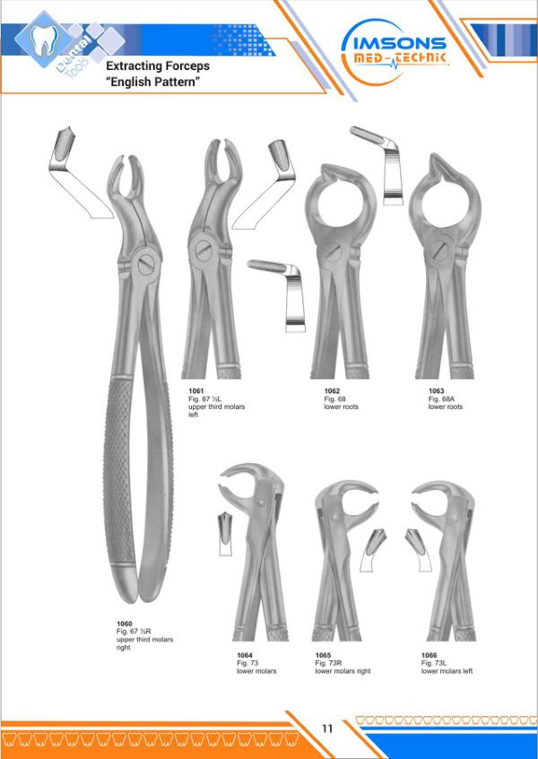 Tooth Extracting Forceps — Extracting Forceps English Pattern, catalogue page 11