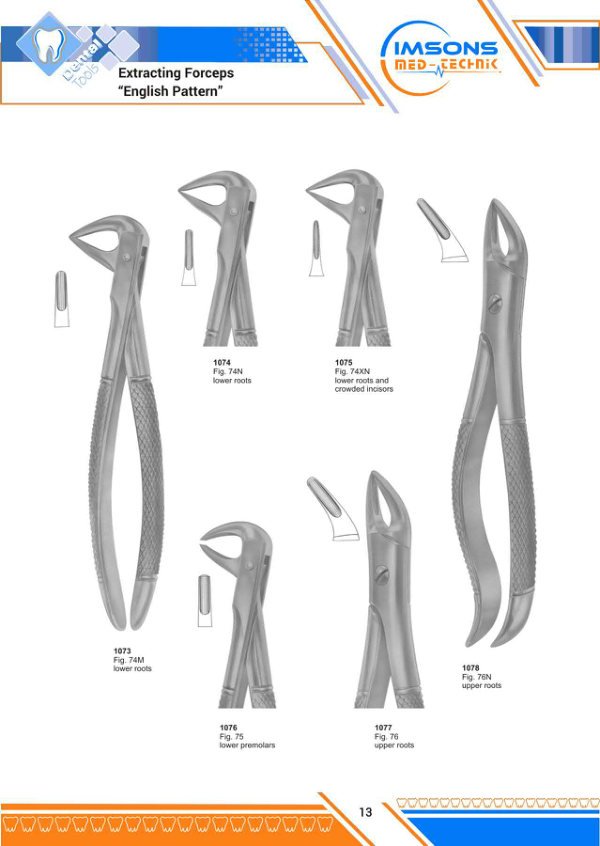 Tooth Extracting Forceps — Extracting Forceps English Pattern, catalogue page 13