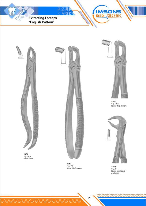 Tooth Extracting Forceps — Extracting Forceps English Pattern, catalogue page 14