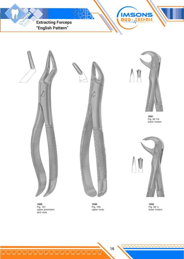 Tooth Extracting Forceps — Extracting Forceps English Pattern, catalogue page 16