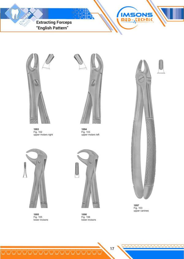 Tooth Extracting Forceps — Extracting Forceps English Pattern, catalogue page 17