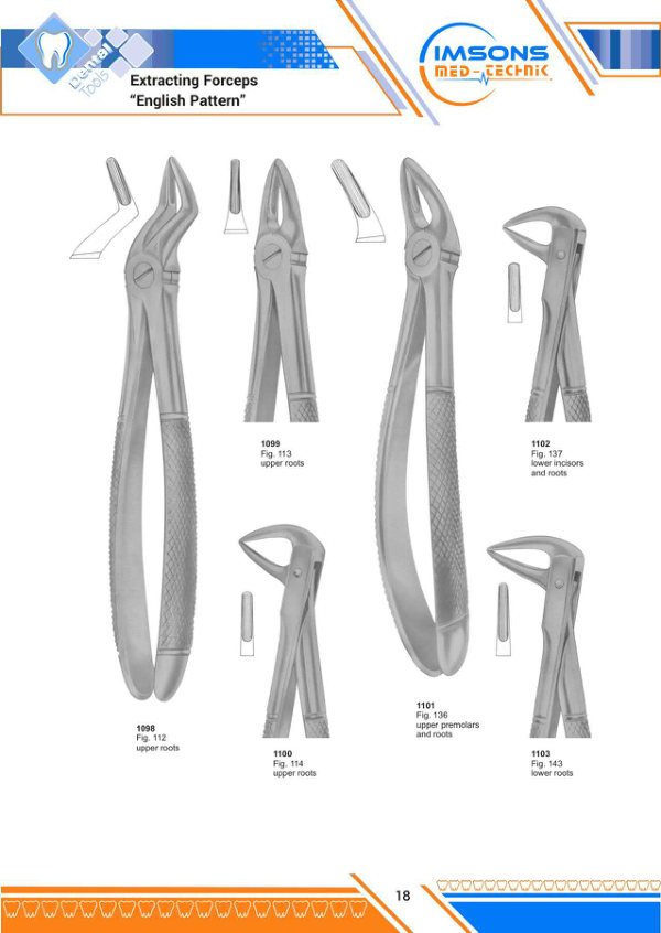 Tooth Extracting Forceps — Extracting Forceps English Pattern, catalogue page 18