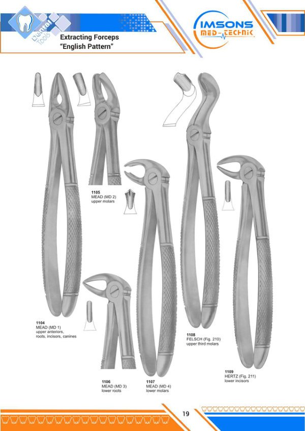 Tooth Extracting Forceps — Extracting Forceps English Pattern, catalogue page 19