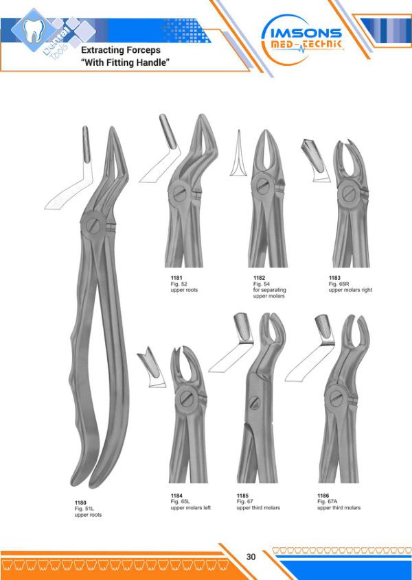 Tooth Extracting Forceps — Extracting Forceps With Fitting Handle, catalogue page 30
