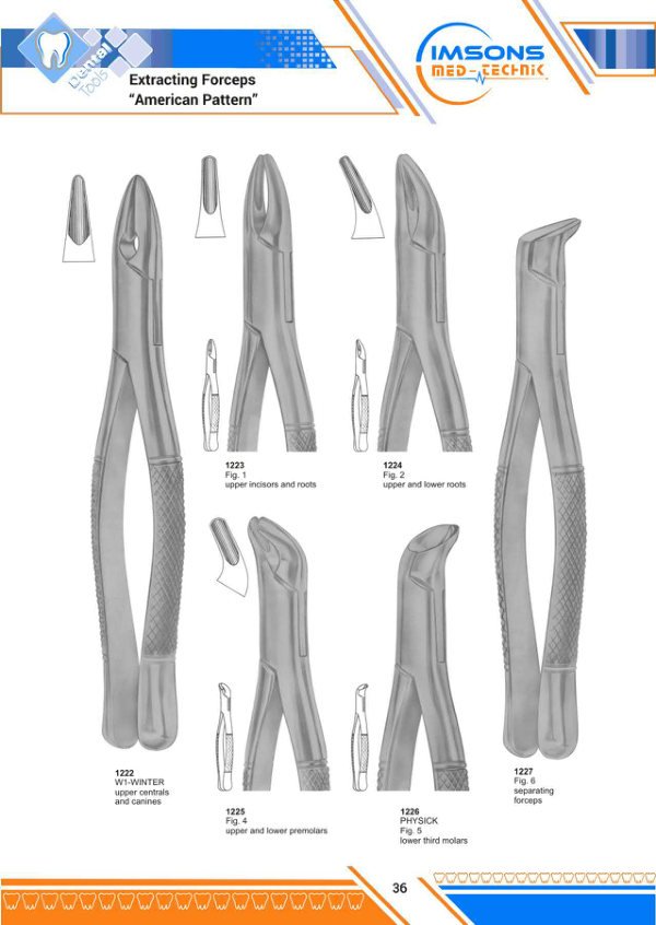 Tooth Extracting Forceps — Extracting Forceps American Pattern, catalogue page 36