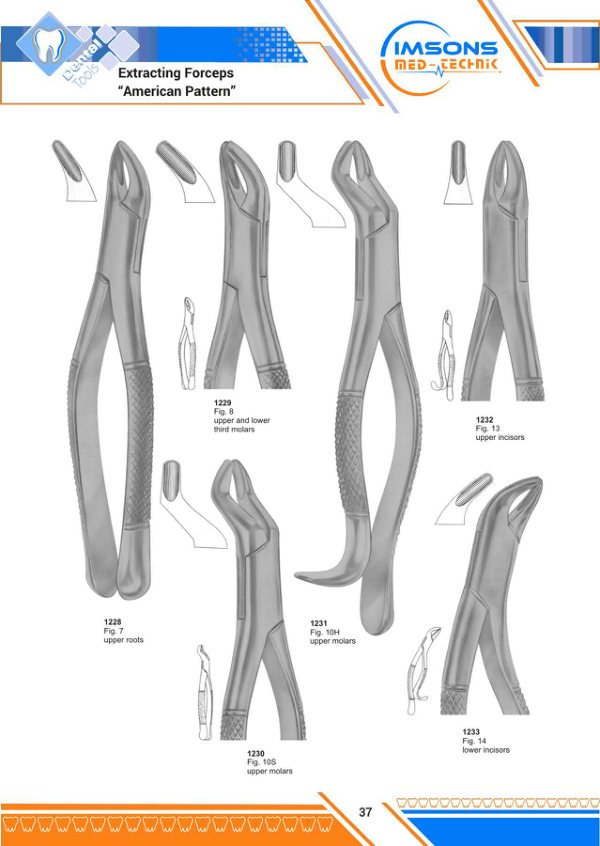 Tooth Extracting Forceps — Extracting Forceps American Pattern, catalogue page 37