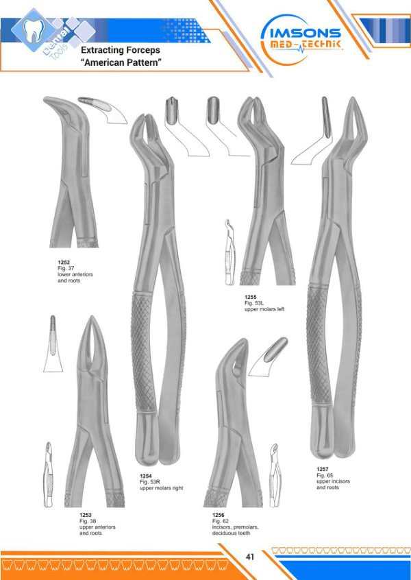 Tooth Extracting Forceps — Extracting Forceps American Pattern, catalogue page 41