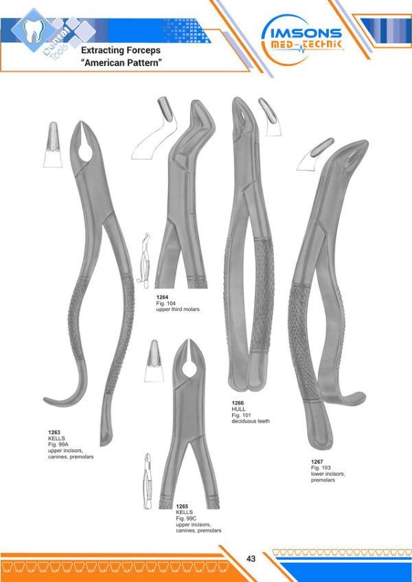 Tooth Extracting Forceps — Extracting Forceps American Pattern, catalogue page 43